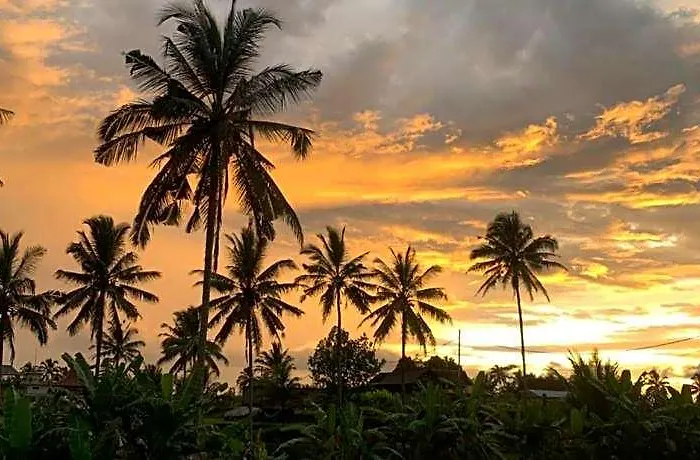ホテル Umah Tirta バリ島