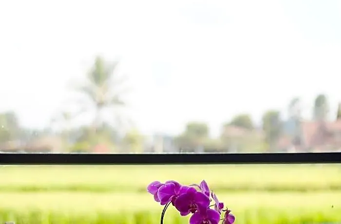 Umah Tirta バリ島