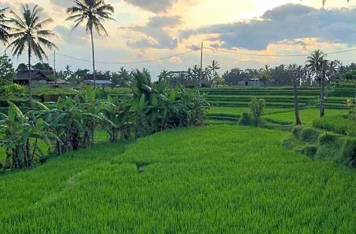 ホテル Umah Tirta