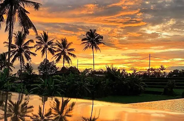 Umah Tirta ホテル バリ島